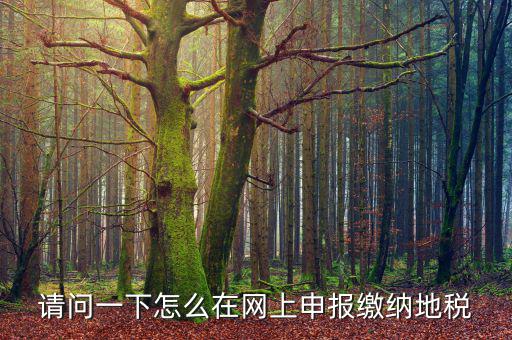 地稅個稅網(wǎng)址是什么，如何查詢個人所得稅明細