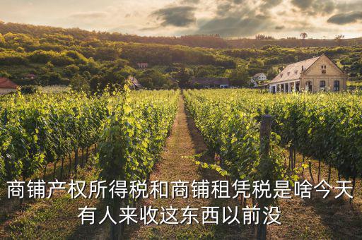 什么是商鋪租賃稅，商鋪出租應交哪些稅