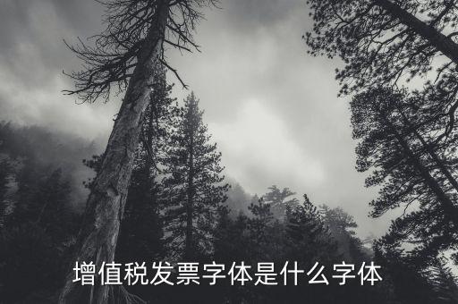 甘肅增值發(fā)票是什么字體，增值稅發(fā)票字體是什么字體