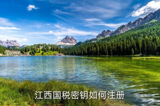 江西國稅密鑰是什么意思，為啥江西國稅的CA密鑰總是裝不成功