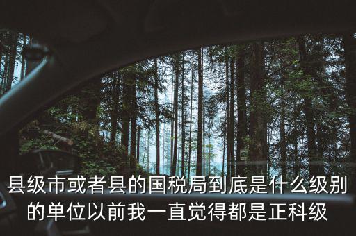 縣國稅局辦稅服務(wù)廳主任是什么級(jí)別，縣地稅局辦公室主任是什么行政級(jí)別