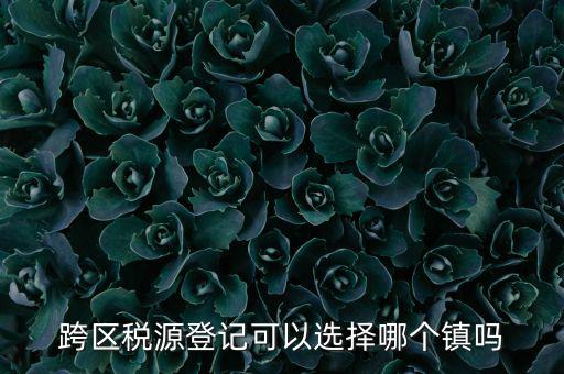 跨區(qū)稅源登記是什么，跨區(qū)稅源登記能否登記為一般納稅人