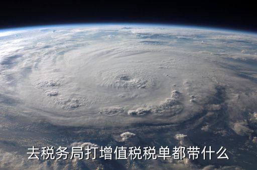國稅局打印稅單要什么，到稅務(wù)打印稅單需要什么資料