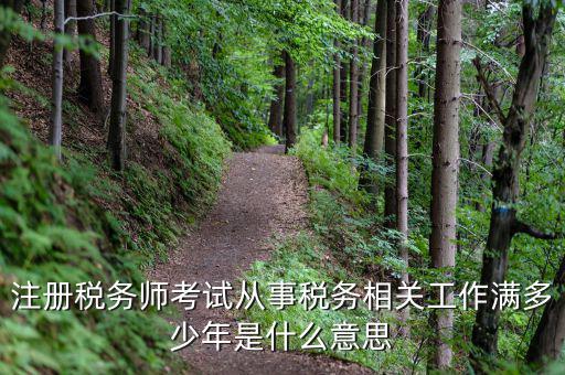 稅務(wù)從業(yè)人數(shù)是什么意思，請問稅務(wù)自查表中的查 數(shù)是什么意思急