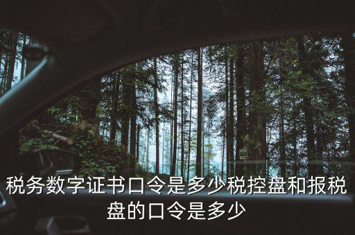 國(guó)稅證書口令是什么，我想問下國(guó)家稅務(wù)網(wǎng)上申報(bào)點(diǎn)擊安全登錄時(shí)出現(xiàn)的用戶口令是什么