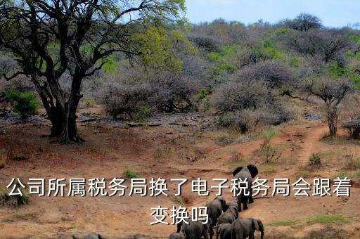 電子稅務(wù)局是什么時候變更的，公司所屬稅務(wù)局換了電子稅務(wù)局會跟著變換嗎