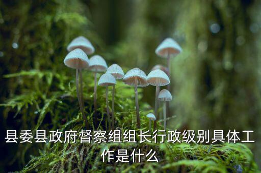 縣委縣政府督察組組長行政級(jí)別具體工作是什么