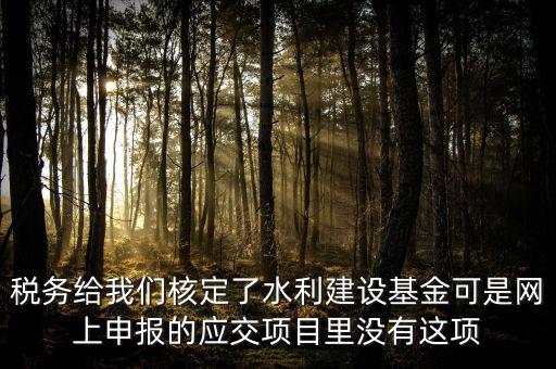 為什么水利建設(shè)無(wú)法申報(bào)，地稅電子稅務(wù)局的水利基金下滑找不到申報(bào)怎么辦