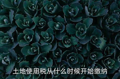 土地使用稅什么時候開始交，什么時候開始繳納房產(chǎn)稅和土地使用稅是否都要繳納