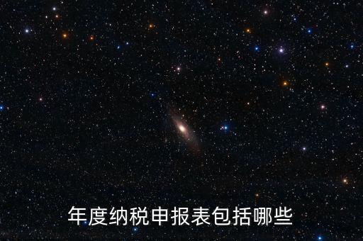 什么是年度納稅申報(bào)表，年度納稅申報(bào)表包括哪些