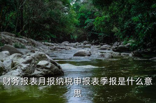 發(fā)票月報什么意思，發(fā)票月報非申報期是什么意思