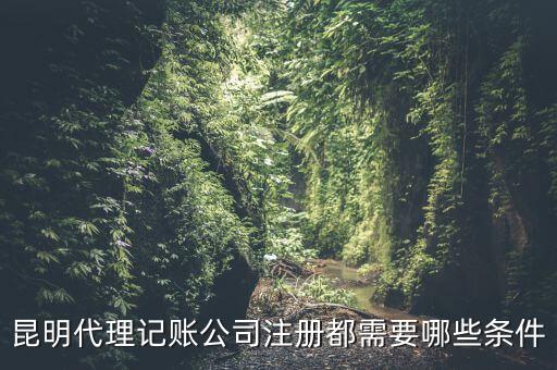 昆明報(bào)稅要什么條件，httpswwwkmgsgovcn 我是一個(gè)新客戶要怎樣才能進(jìn)入昆明國(guó)稅局
