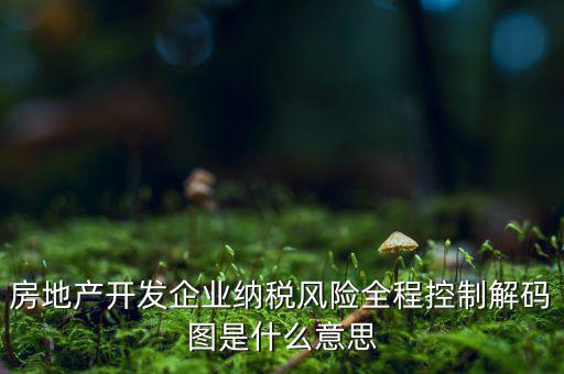 房地產開發(fā)企業(yè)納稅風險全程控制解碼圖是什么意思