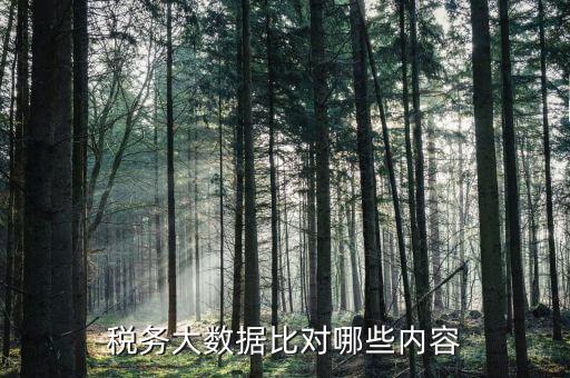 大數(shù)據(jù)稅務(wù)局需要過濾什么數(shù)據(jù)，稅務(wù)大數(shù)據(jù)是什么意思