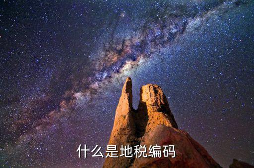 地稅編碼是什么意思，什么是地稅編碼