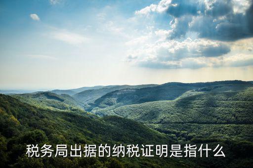 稅繳納證明是什么，什么是個人納稅證明