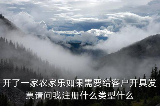 我要是以開(kāi)普票為主 注冊(cè)什么性質(zhì)的公司好，開(kāi)了一家農(nóng)家樂(lè)如果需要給客戶開(kāi)具發(fā)票請(qǐng)問(wèn)我注冊(cè)什么類型什么