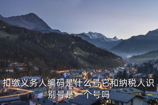 易稅門戶扣繳義務(wù)人編碼是什么，易稅門戶中扣繳義務(wù)人編碼指什么