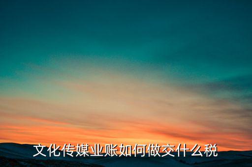 文化傳媒公司交什么稅，開傳媒公司旗下藝人要交哪些稅