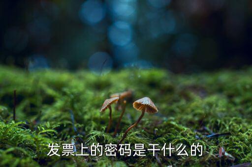 湖南汽車發(fā)票密碼是什么意思，發(fā)票上的密碼是做什么用的啊