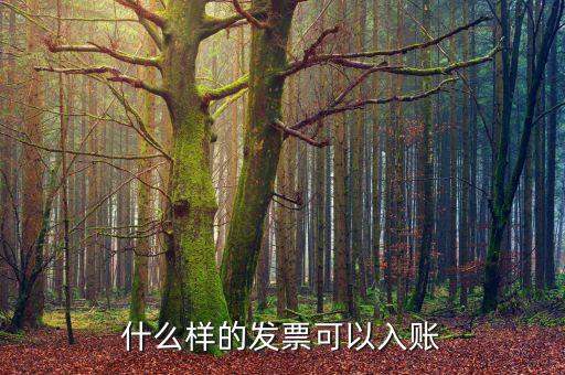 都什么發(fā)票可以走賬，什么樣的發(fā)票才可以走帳