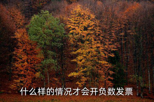 負(fù)數(shù)發(fā)票是什么意思，負(fù)數(shù)普通票什么意思