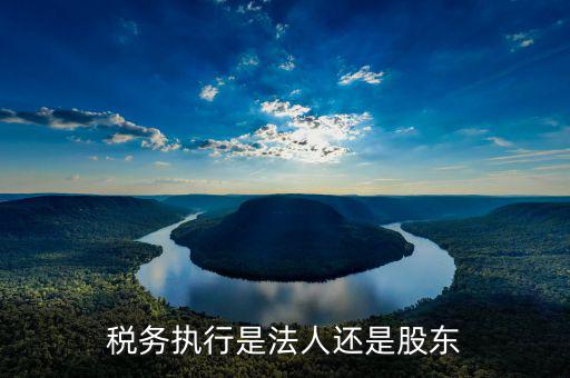 稅收政策執(zhí)行是干什么的，稅務(wù)執(zhí)行是法人還是股東