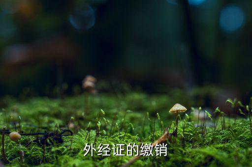 外經(jīng)證的繳銷(xiāo)