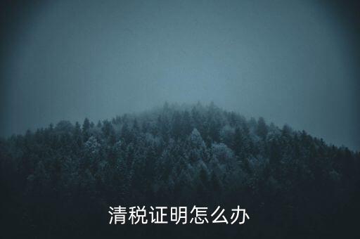 稅務(wù)無紙化辦公要什么材料，清稅證明怎么辦
