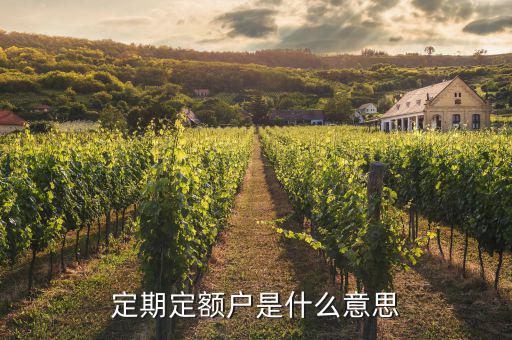 什么叫非定期定額戶，什么是增值稅小規(guī)模非定期定額戶納稅人