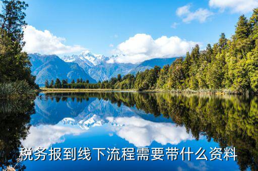 南京稅務(wù)報道需要什么資料，去稅務(wù)局報稅需要帶什么資料