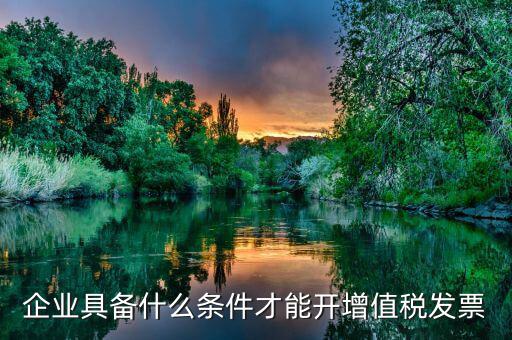 什么企業(yè)增值稅發(fā)票，企業(yè)具備什么條件才能開增值稅發(fā)票