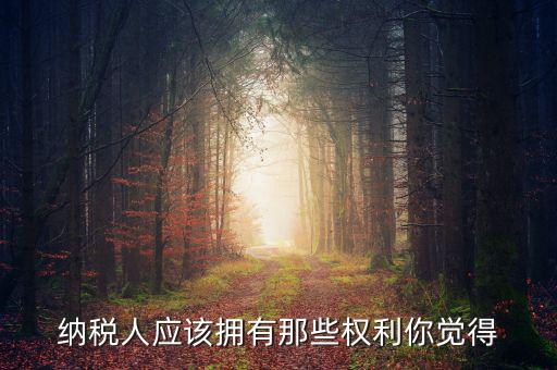 納稅人的權(quán)益有什么，納稅人應(yīng)該擁有那些權(quán)利你覺(jué)得