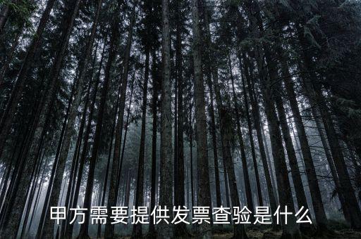 發(fā)票查詢驗(yàn)是什么意思，發(fā)票驗(yàn)證是什么意思