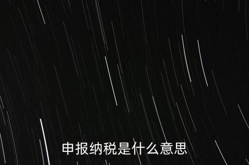 通用申報稅是什么，非稅收入通用申報表是什么稅