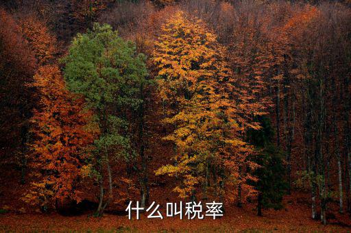 什么叫增值稅稅率，增值稅普通發(fā)票的稅率是什么意思