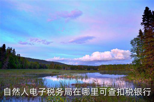 電子稅務(wù)局銀行端查詢什么，天津電子稅務(wù)局如何查詢銀行賬戶備案信息