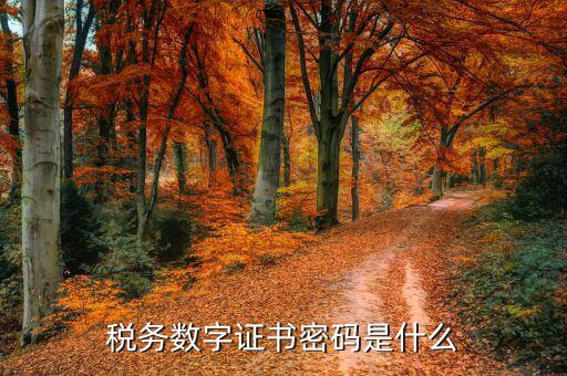 煙臺國稅證書密碼是什么，登錄國稅網(wǎng)上辦稅服務(wù)廳的用戶名和密碼是什么