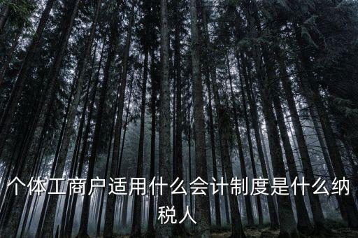 個(gè)體戶屬于什么納稅人，從事縫紉業(yè)務(wù)的個(gè)體戶屬于哪一類納稅人