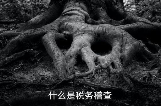 稅務(wù)檢查查什么，什么是稅務(wù)稽查