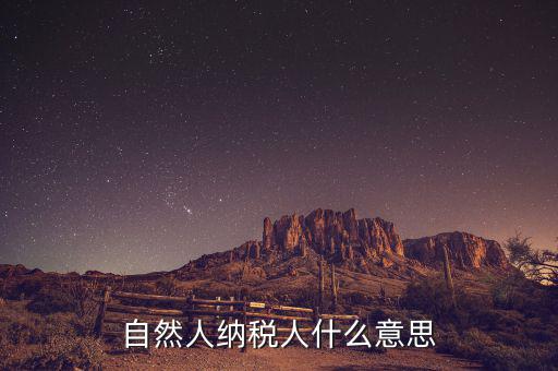 什么是自然人辦稅，自然人納稅人什么意思