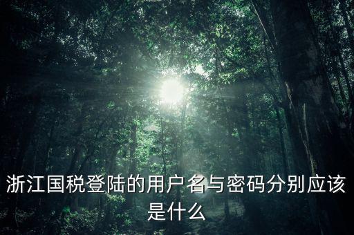 浙江國稅密碼是什么意思，浙江地稅開票軟件中數(shù)據(jù)庫密碼是多少