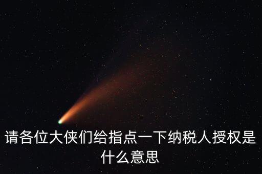請各位大俠們給指點(diǎn)一下納稅人授權(quán)是什么意思