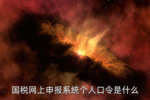 國(guó)稅證書口令是什么意思，網(wǎng)上申報(bào)國(guó)稅系統(tǒng)登陸的口令是什么