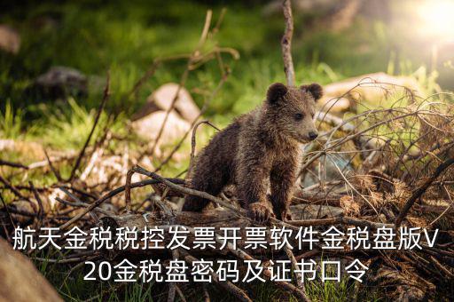 新稅盤證書口令是什么，金稅盤初始密碼和口令是多少