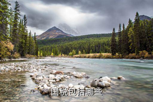 什么屬于國稅，什么樣的經(jīng)營范圍屬于國稅