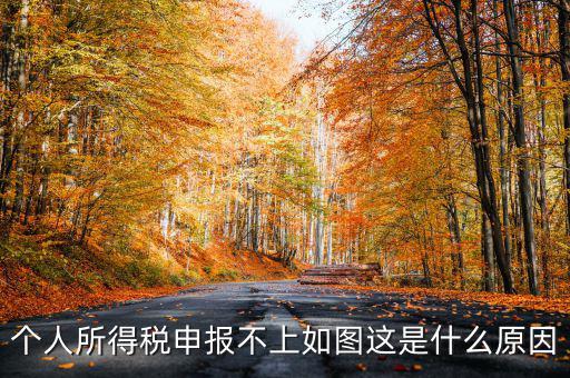 個(gè)稅申報(bào)失敗為什么，8月份個(gè)稅申報(bào)反饋時(shí)申報(bào)失敗怎么回事問專管員說已經(jīng)申報(bào)了但
