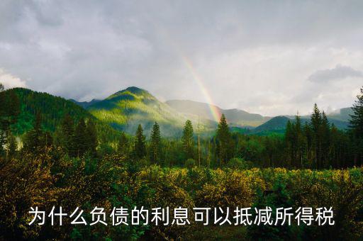 企業(yè)負(fù)債時(shí)稅率有什么優(yōu)惠，企業(yè)所得稅優(yōu)惠政策有哪些