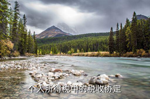 什么是協(xié)定個(gè)稅，個(gè)人所得稅中的稅收協(xié)定