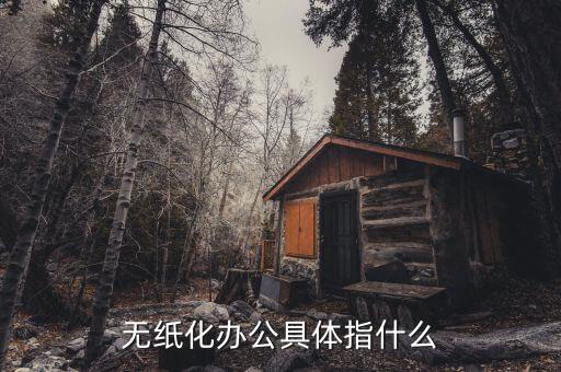 國(guó)稅無(wú)紙化辦公是什么意思，無(wú)紙化辦公具體指什么